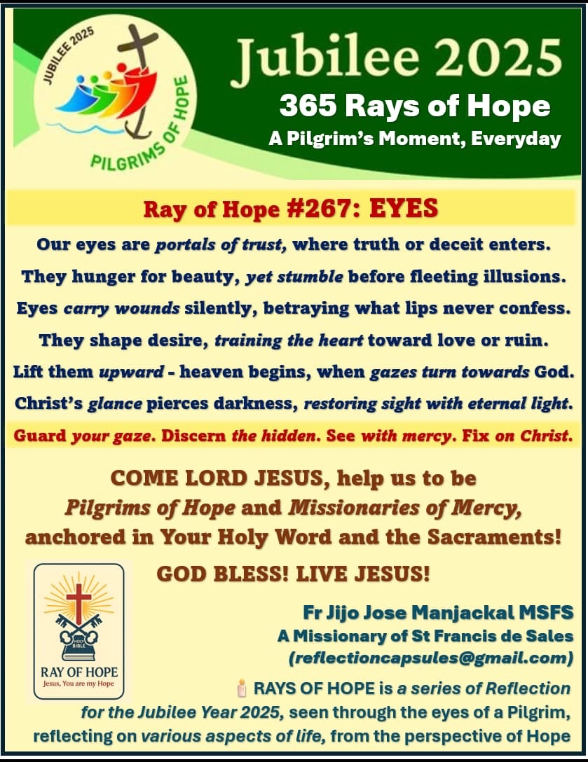 Ray Of Hope 267 Eyes Reflection Capsules